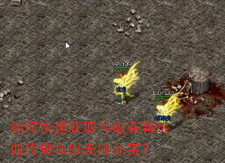 如何快速获取斗破苍穹热血传奇私服无限元宝? 如何快速获取斗破苍穹热血传奇私服无限元宝?