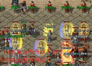 仙鹤复古传奇新手如何快速提升等级? 仙鹤复古传奇新手如何快速提升等级?