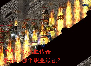 ��ˢ3.35��Ѫ����˽�����ĸ�ְҵ��ǿ��