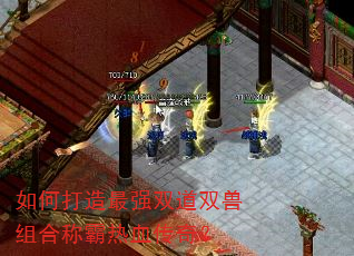 如何打造最强双道双兽组合称霸热血传奇? 如何打造最强双道双兽组合称霸热血传奇?