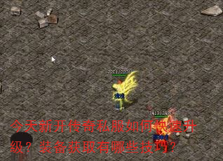 今天新开传奇私服如何快速升级?装备获取有哪些技巧? 今天新开传奇私服如何快速升级?装备获取有哪些技巧?