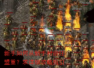 新手如何从新手村前往盟重?求详细攻略指引 新手如何从新手村前往盟重?求详细攻略指引