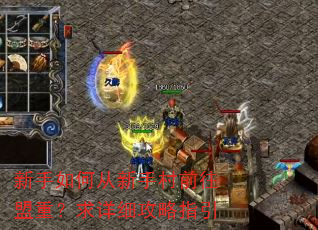 新手如何从新手村前往盟重?求详细攻略指引 新手如何从新手村前往盟重?求详细攻略指引