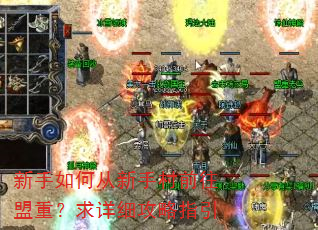 新手如何从新手村前往盟重?求详细攻略指引 新手如何从新手村前往盟重?求详细攻略指引