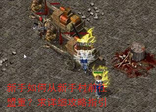 新手如何从新手村前往盟重?求详细攻略指引 新手如何从新手村前往盟重?求详细攻略指引