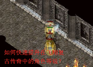 如何快速提升在飞翔复古传奇中的角色等级? 如何快速提升在飞翔复古传奇中的角色等级?