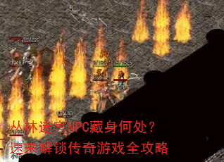 丛林迷宫NPC藏身何处?速来解锁传奇游戏全攻略 丛林迷宫NPC藏身何处?速来解锁传奇游戏全攻略