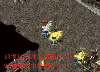 如何让法师宠物在传奇1.9510版本中成功转化? 如何让法师宠物在传奇1.9510版本中成功转化?