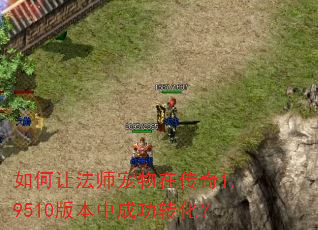 如何让法师宠物在传奇1.9510版本中成功转化? 如何让法师宠物在传奇1.9510版本中成功转化?