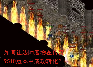 如何让法师宠物在传奇1.9510版本中成功转化? 如何让法师宠物在传奇1.9510版本中成功转化?