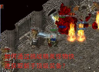如何通过挑战精英怪物快速获取新手顶级装备? 如何通过挑战精英怪物快速获取新手顶级装备?