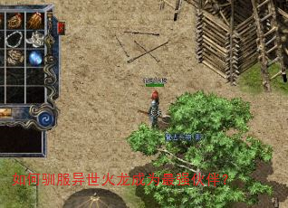 如何驯服异世火龙成为最强伙伴? 如何驯服异世火龙成为最强伙伴?