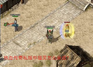 热血传奇私服中猫灵怎么合成? 热血传奇私服中猫灵怎么合成?