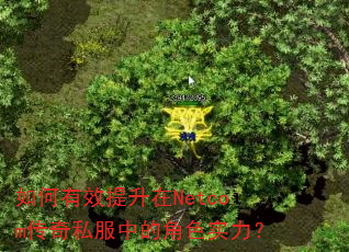 如何有效提升在Netcom传奇私服中的角色实力? 如何有效提升在Netcom传奇私服中的角色实力?