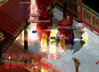 至尊传奇中共有多少首领与精英怪物? 至尊传奇中共有多少首领与精英怪物?