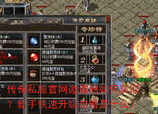 传奇私服官网邀请码如何获取?新手快速升级攻略是什么? 传奇私服官网邀请码如何获取?新手快速升级攻略是什么?