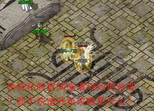 传奇私服官网邀请码如何获取?新手快速升级攻略是什么? 传奇私服官网邀请码如何获取?新手快速升级攻略是什么?