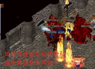 如何快速提升新传奇私服免费版角色等级? 如何快速提升新传奇私服免费版角色等级?