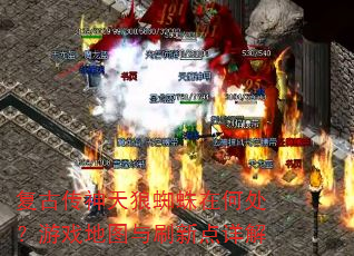 复古传神天狼蜘蛛在何处?游戏地图与刷新点详解 复古传神天狼蜘蛛在何处?游戏地图与刷新点详解