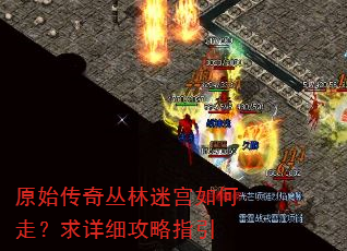 原始传奇丛林迷宫如何走?求详细攻略指引 原始传奇丛林迷宫如何走?求详细攻略指引