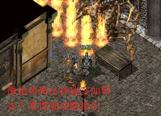 原始传奇丛林迷宫如何走?求详细攻略指引 原始传奇丛林迷宫如何走?求详细攻略指引