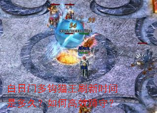白日门多钩猫王刷新时间是多久?如何高效蹲守? 白日门多钩猫王刷新时间是多久?如何高效蹲守?