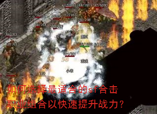 如何选择最适合的sf合击职业组合以快速提升战力? 如何选择最适合的sf合击职业组合以快速提升战力?