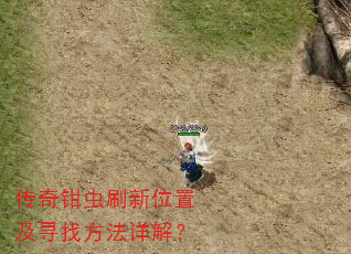 传奇钳虫刷新位置及寻找方法详解? 传奇钳虫刷新位置及寻找方法详解?