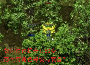 如何快速提升1.80变态传奇角色等级与装备? 如何快速提升1.80变态传奇角色等级与装备?