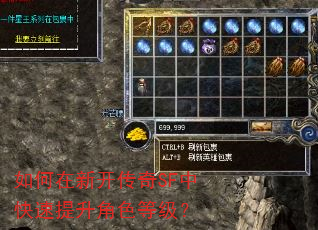 如何在新开传奇SF中快速提升角色等级? 如何在新开传奇SF中快速提升角色等级?