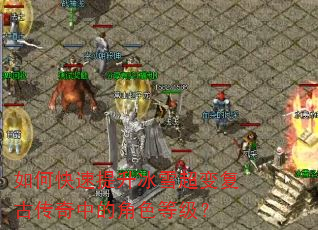 如何快速提升冰雪超变复古传奇中的角色等级? 如何快速提升冰雪超变复古传奇中的角色等级?