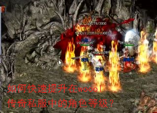 如何快速提升在woool传奇私服中的角色等级? 如何快速提升在woool传奇私服中的角色等级?