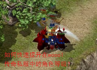 如何快速提升在woool传奇私服中的角色等级? 如何快速提升在woool传奇私服中的角色等级?