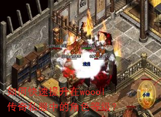 如何快速提升在woool传奇私服中的角色等级? 如何快速提升在woool传奇私服中的角色等级?