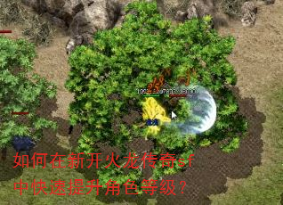 ������¿���������sf�п���������ɫ�ȼ���