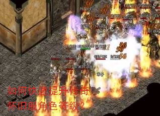 如何快速提升传奇怀旧服角色等级? 如何快速提升传奇怀旧服角色等级?