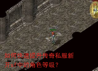 如何快速提升传奇私服新开sf中的角色等级? 如何快速提升传奇私服新开sf中的角色等级?