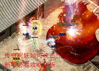 传奇树妖如何攻击?新手必看攻略解析 传奇树妖如何攻击?新手必看攻略解析