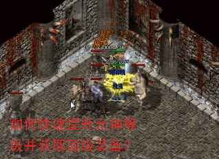 如何快速提升元神等级并获取顶级装备? 如何快速提升元神等级并获取顶级装备?