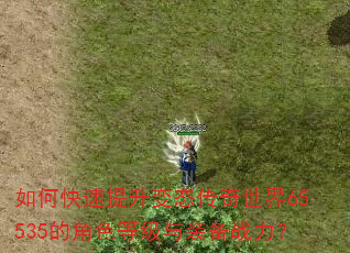 如何快速提升变态传奇世界65535的角色等级与装备战力? 如何快速提升变态传奇世界65535的角色等级与装备战力?