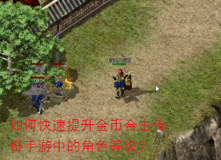 如何快速提升金币合击传奇手游中的角色等级? 如何快速提升金币合击传奇手游中的角色等级?