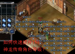 如何快速提升195神龙传奇角色等级? 如何快速提升195神龙传奇角色等级?