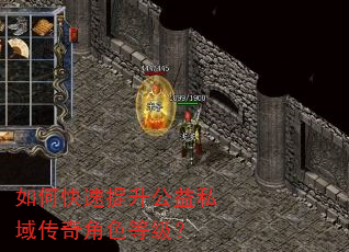 如何快速提升公益私域传奇角色等级? 如何快速提升公益私域传奇角色等级?