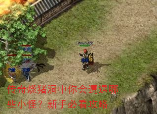 传奇烧猪洞中你会遭遇哪些小怪?新手必看攻略 传奇烧猪洞中你会遭遇哪些小怪?新手必看攻略