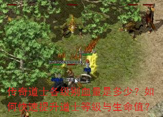 传奇道士各级别血量是多少?如何快速提升道士等级与生命值? 传奇道士各级别血量是多少?如何快速提升道士等级与生命值?