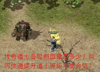 传奇道士各级别血量是多少?如何快速提升道士等级与生命值? 传奇道士各级别血量是多少?如何快速提升道士等级与生命值?