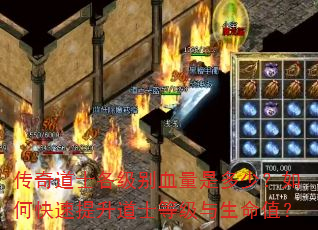 传奇道士各级别血量是多少?如何快速提升道士等级与生命值? 传奇道士各级别血量是多少?如何快速提升道士等级与生命值?