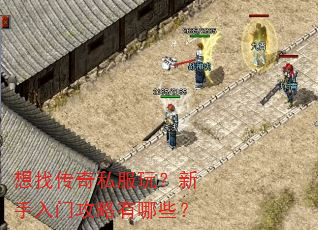 想找传奇私服玩?新手入门攻略有哪些? 想找传奇私服玩?新手入门攻略有哪些?