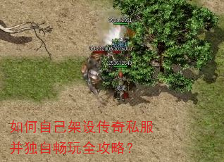 如何自己架设传奇私服并独自畅玩全攻略? 如何自己架设传奇私服并独自畅玩全攻略?