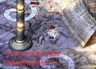 寻找合击传奇私服网站有哪些攻略技巧? 寻找合击传奇私服网站有哪些攻略技巧?